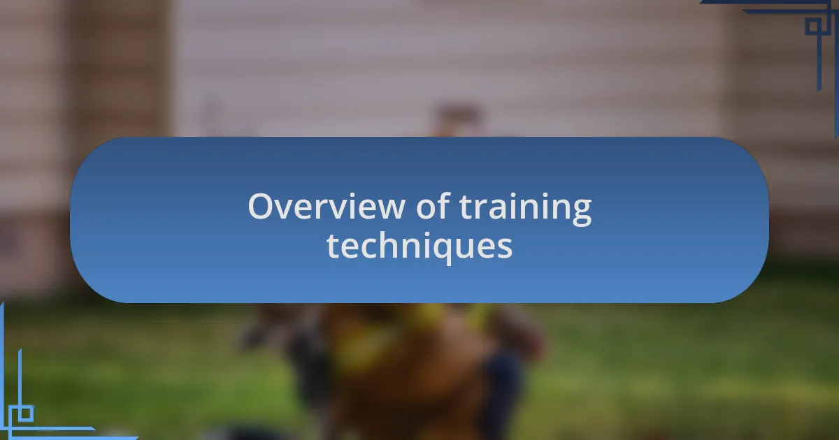 Overview of training techniques