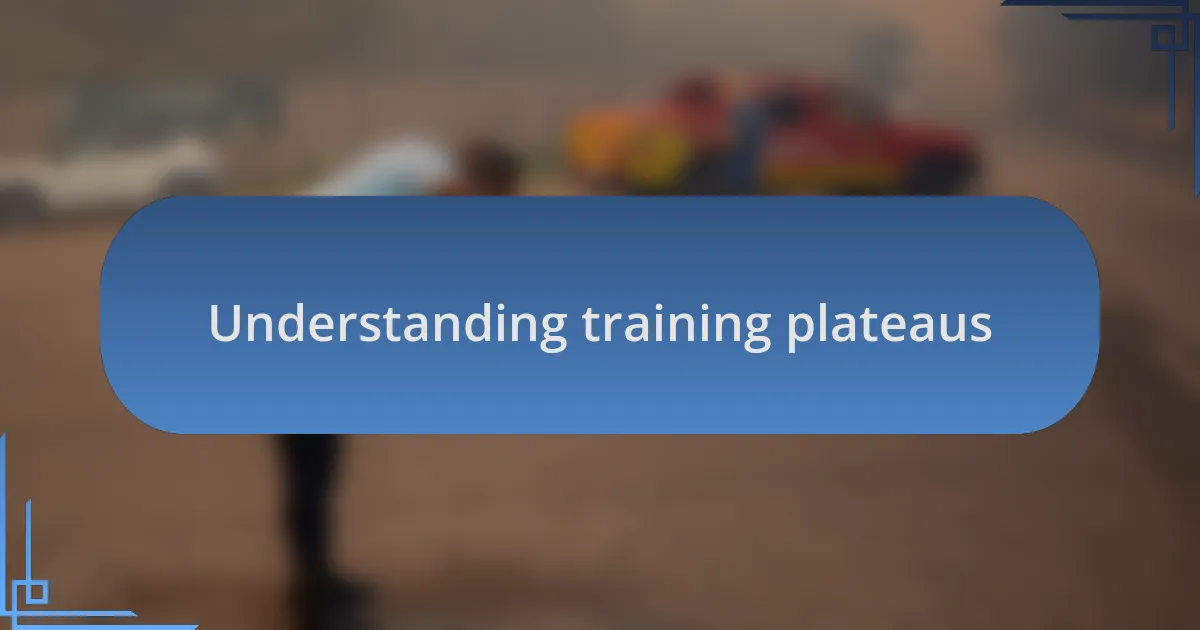 Understanding training plateaus